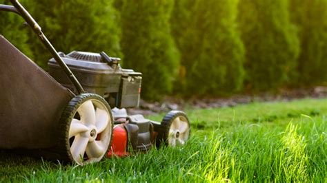 Transforming your lawn with the enchantment of grass magic
